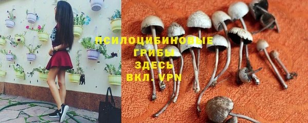 прущая мука Киренск