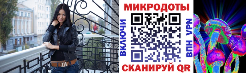 Купить закладки  Беломорск  Галлюциногенные грибы Cubensis 
